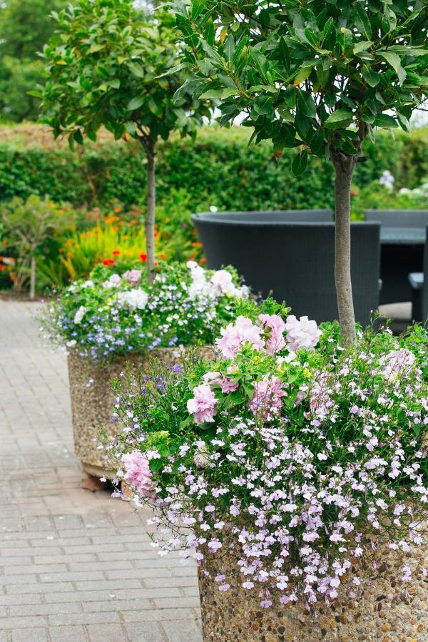 منزل الضيف تينبي  في Trefloyne Manor المظهر الخارجي الصورة